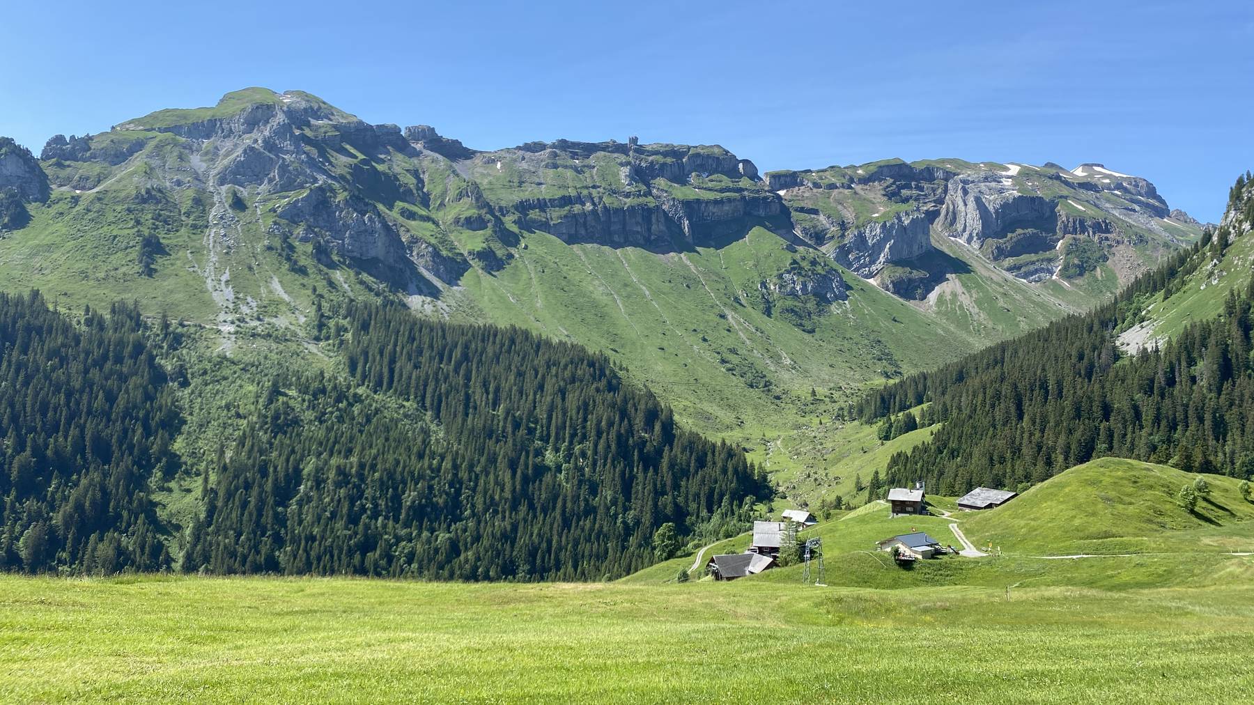 Alp Gitschenen Panorama