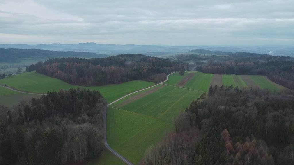 Klarheit bei ewigem Streitprojekt