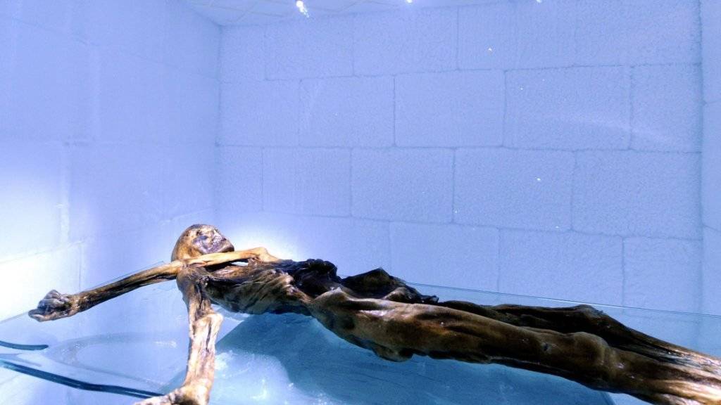 Der Gletschermann Ötzi könnte an Magenschmerzen gelitten haben. Er war mit dem Magenkeim Helicobacter pylori infiziert. (Archiv)