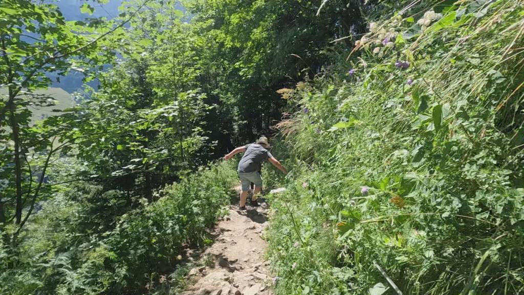 Zwei Alpstein-Tote an einem Tag