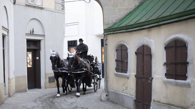 Pferdegespann geht in Wien durch und Passantin verletzt sich