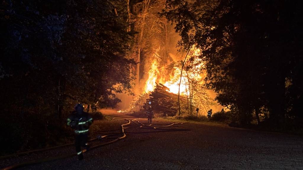 Holzlager am Waldrand in Romanshorn TG gerät in Brand