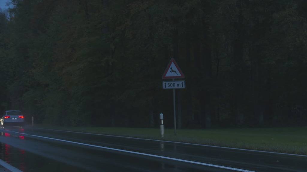Wildunfälle nehmen wegen der Zeitumstellung zu