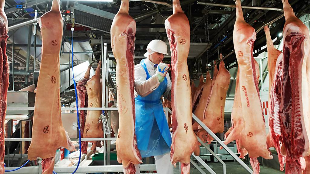 Corona führt zu abgespeckter Fleischproduktion in Deutschland