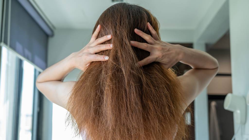 Haarausfall wegen Haargummis und Mützen? Wir decken die grössten Mythen auf