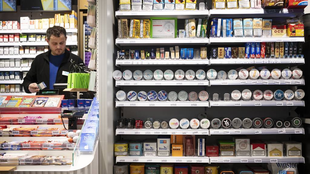 Snus im Hype: Konsum seit Legalisierung doppelt so hoch
