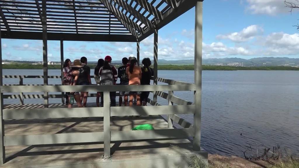 Schweizer auf Hawaii: Anuschkas Traum vom polynesischen Hawaii