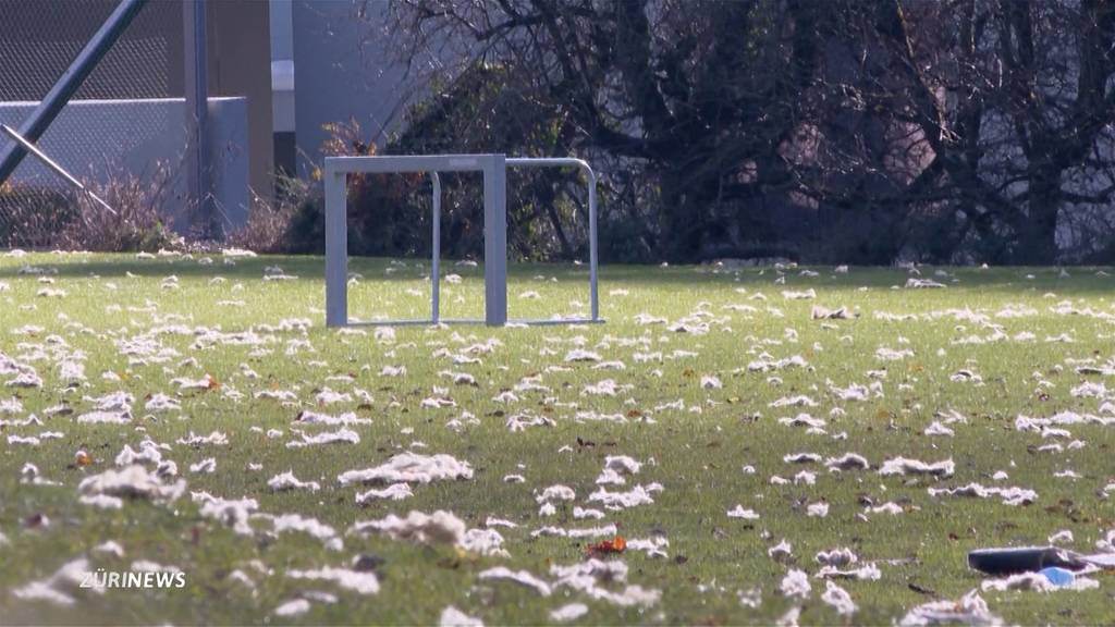 Isolationsmaterial-Regen beim Flughafen Zürich