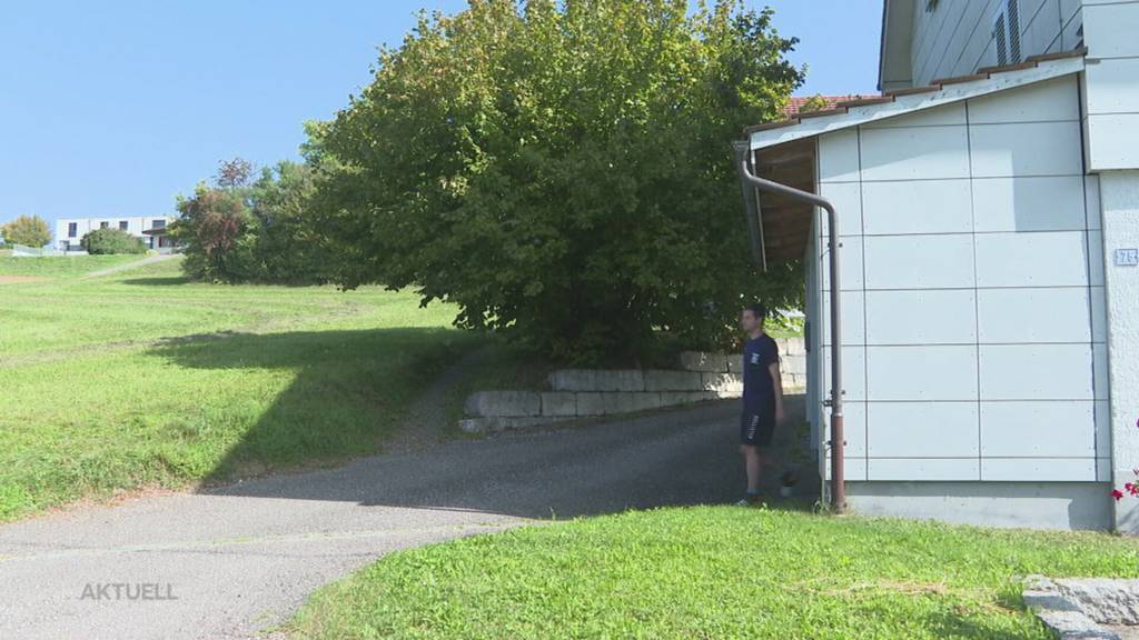 Blinder Polizist: Vandalen verschmieren in Herznach einen Blechpolizisten