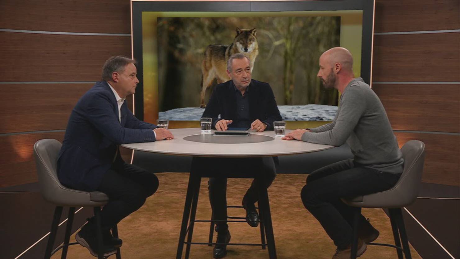 Wolfsmassaker in der Schweiz? | TeleBaern