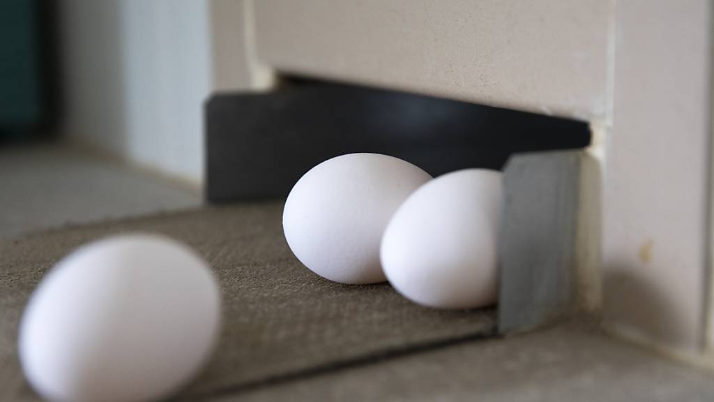 In den Wochen vor Weihnachten ist mit einem höheren Bedarf an Eiern zu rechnen. Der Bundesrat hat deshalb eine vorübergehende Erhöhung des Importkontingents bewilligt. (Themenbild)