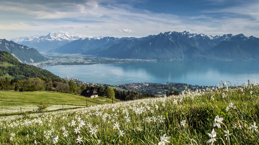 Geniesse herrliche Aussichten auf die Berge und den Genfersee.