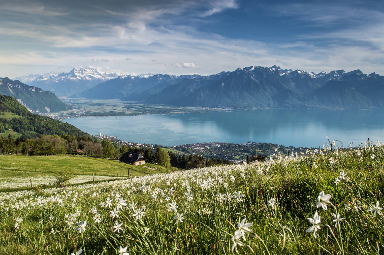 Geniesse herrliche Aussichten auf die Berge und den Genfersee.