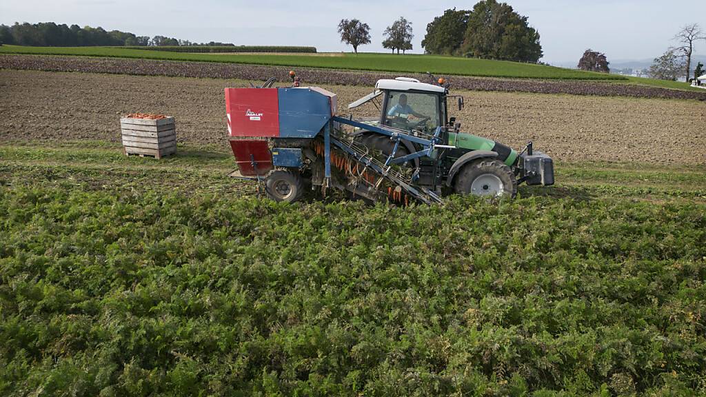 Die Ausgaben für die Landwirtschaft waren der umstrittenste Punkt in der Budgetdebatte. (Themenbild)