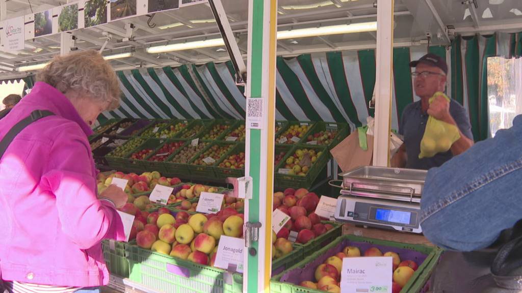 Apfelernte der Berner Obstbauern durchwachsen
