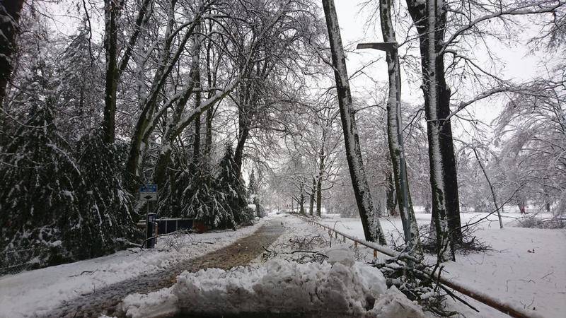 In der Region Lindau ist der Schnee besonders schwer, weshalb diverse Äste runter fielen.