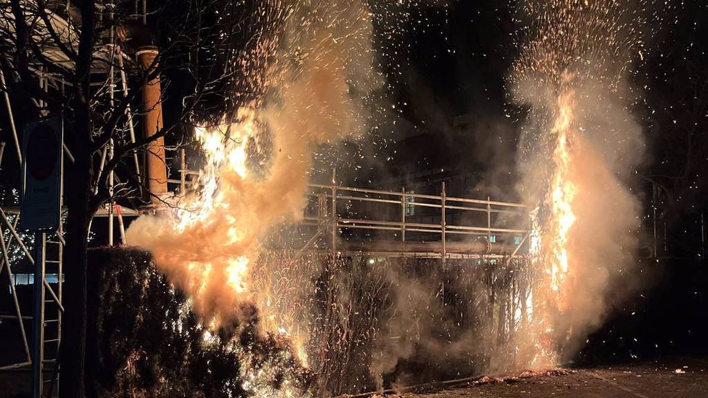 Brände wegen Feuerwerk, Streitereien und Ruhestörungen: Polizeibilanz trotzdem positiv