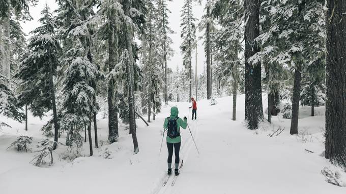 In Wildruhezonen gefahren: 25 Skifahrer werden gebüsst