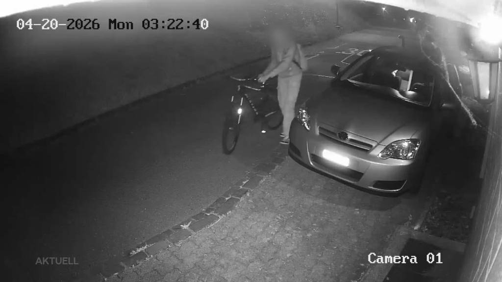 In Flagranti: Postautofahrer aus Egliswil erwischte einen Autofälleler als er zum Frühdienst wollte