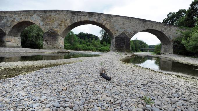 Thurgau: 30'000 Fische umgesiedelt