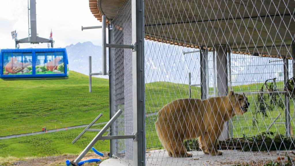 Das Bärenland Arosa gehört zu den systemrelevanten Infrastrukturen im Kanton Graubünden. (Archivbild)