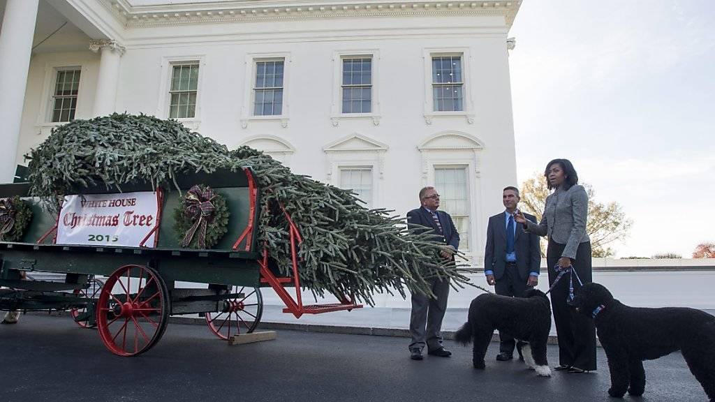 US-First-Lady Michelle Obama nimmt den offiziellen Weihnachtsbaum in Empfang.