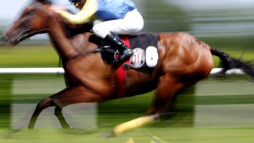 Mikrochip im Essen gehörte zu ehemaligem Rennpferd