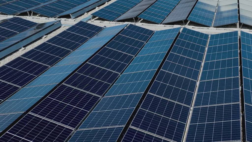 Solar-Boom vorbei? Firmen mit unterschiedlicher Gefühlslage
