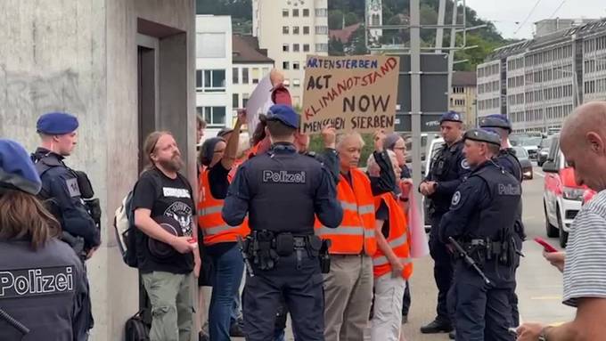 Klimaaktivisten wollen Hardbrücke lahmlegen – Polizei schreitet ein