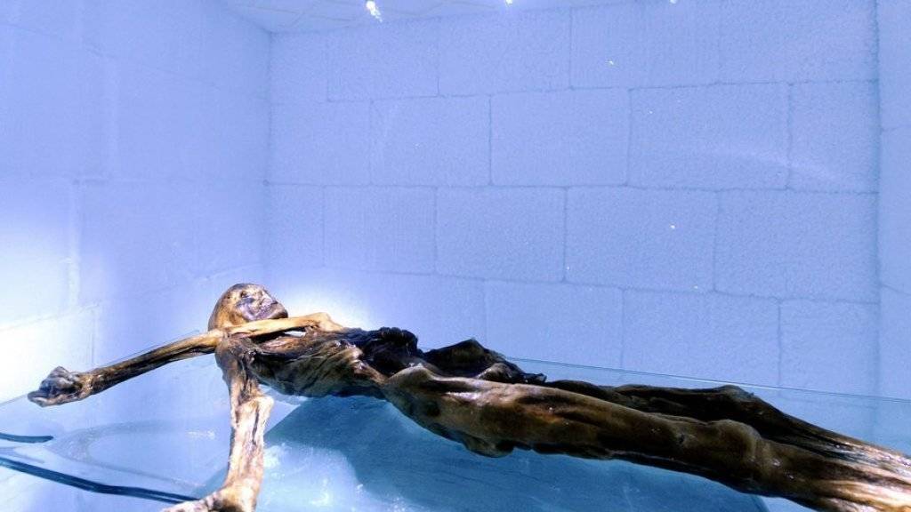 Die auf natürliche Weise mumifizierte Leiche von Ötzi. (Archivbild)