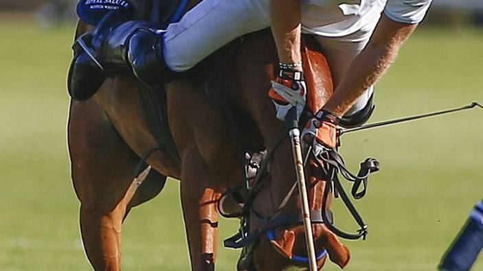 epa05046098 Britain's Prince Harry falls off his horse whilst playing polo in the Sentebale Royal Salute Polo Cup at Val de Vie wine estate, Paarl, South Africa, 28 November 2015. Prince Harry is visiting South Africa and Lesotho. The Sentebale Royal Salute Polo Cup is a celebration of the joint efforts of Prince Seeiso of Lesotho and Prince Harry to help and support children living with HIV in Lesotho through the charity Sentebale.  EPA/NIC BOTHMA