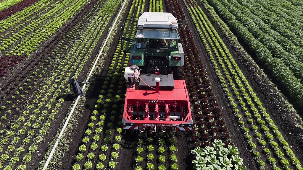 Der Verein «nichtszumelden.ch» will das Digitalisierungsprojekt «Digiflux» des Bundesamtes für Landwirtschaft boykottieren.