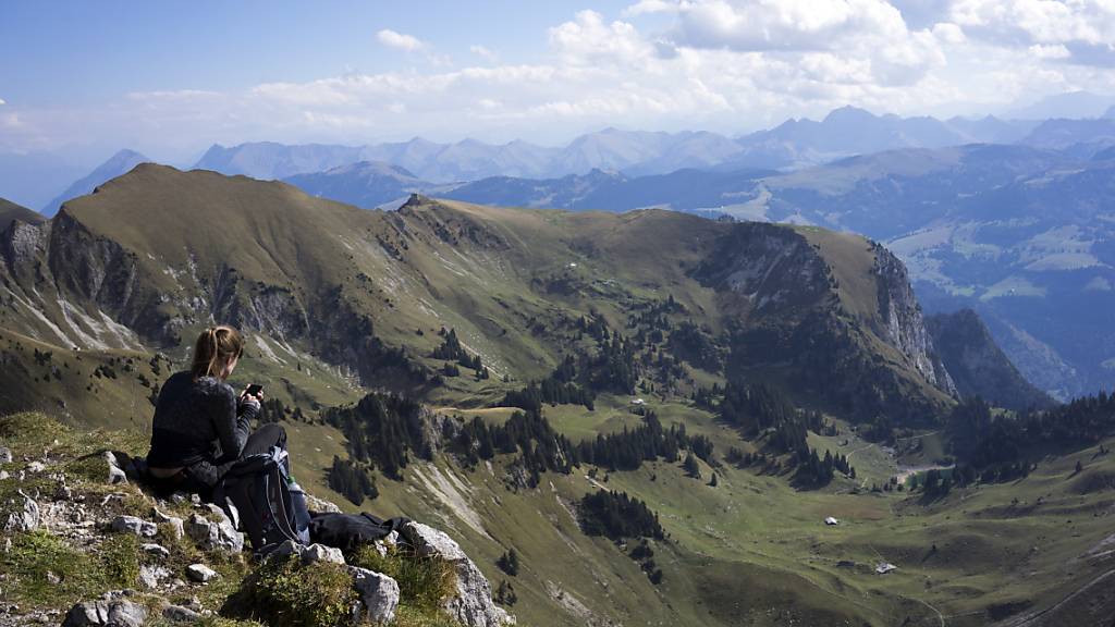 Welcher Berg ist das? Welcher Vogel trällert da? Handy-Apps sind Lehrmeister auch in der Natur. (Symbolbild)