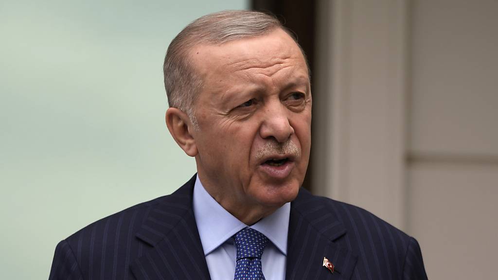 ARCHIV - Recep Tayyip Erdogan, Präsident der Türkei, spricht während einer Pressekonferenz. Foto: Khalil Hamra/AP/dpa/Archivbild
