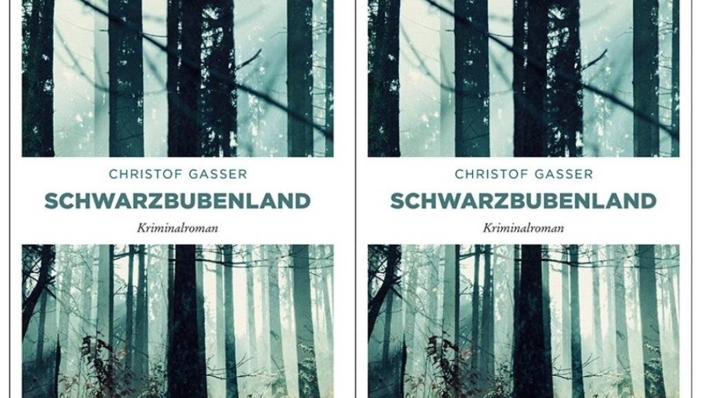 Der Krimi «Schwarzbubenland» des Solothurners Christof Gasser soll fürs Fernsehen verfilmt werden. (Emons)