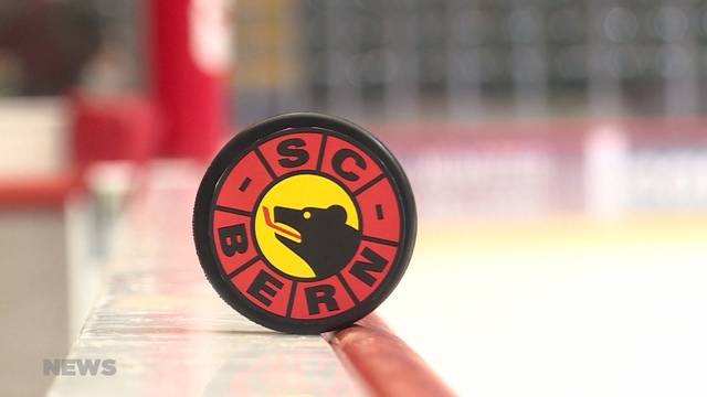 Vorfreude auf baldige Eishockey-Meisterschaft