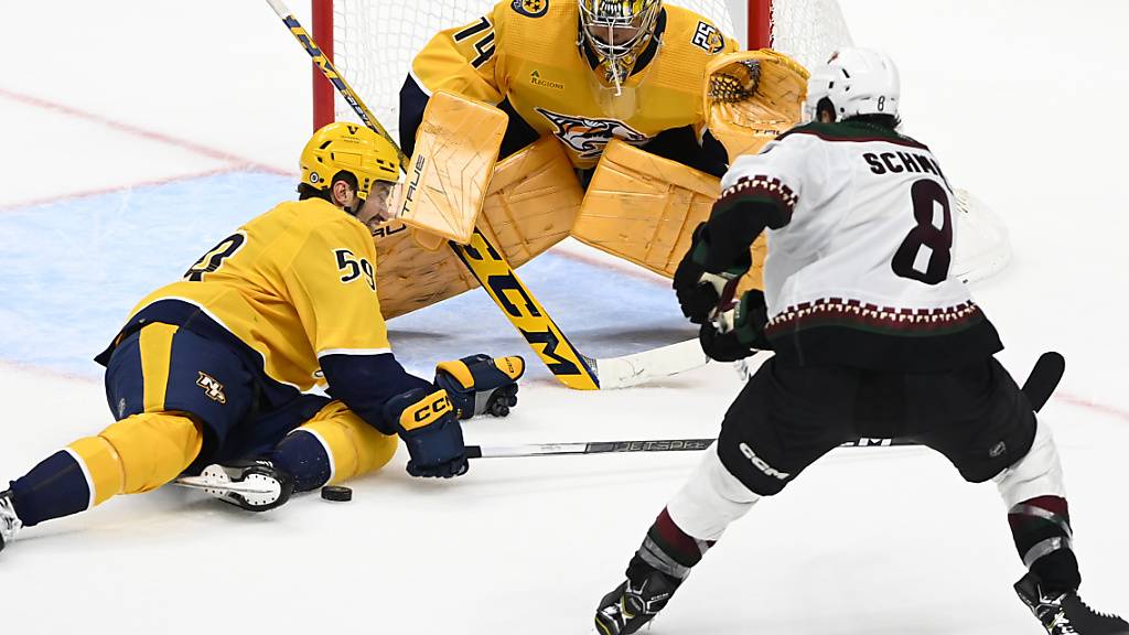 Roman Josi (am Boden) und die Nashville Predators hatten in Arizona für einmal einen schweren Stand