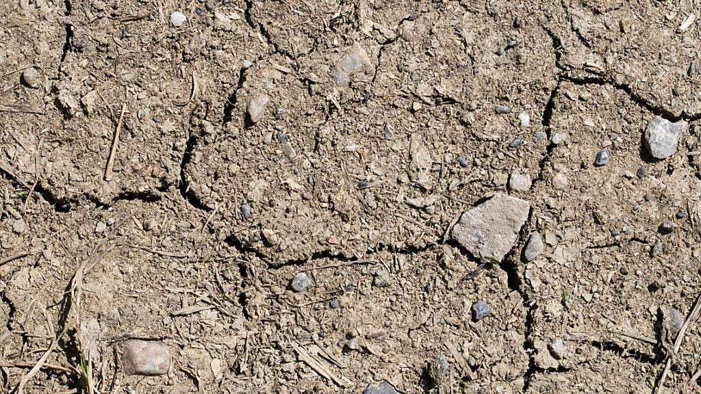 Boden bei ehemaliger chemischen Reinigung in Siebnen SZ verschmutzt