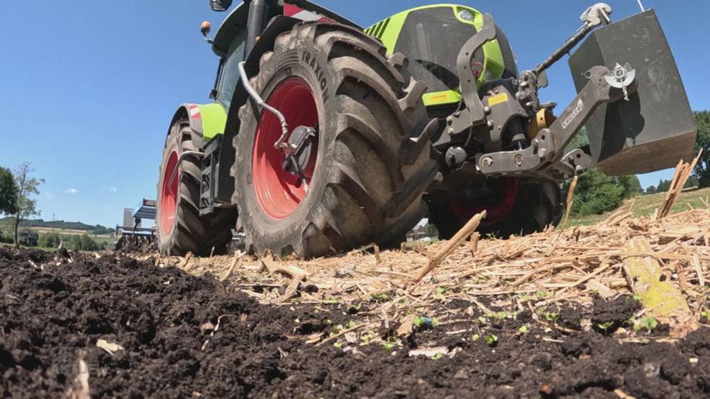 Fluch und Segen: So wirkt sich das wechselhafte Wetter auf die Landwirtschaft aus