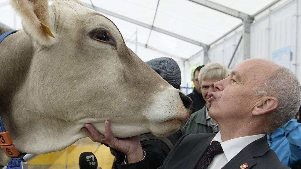 Bundesrat Ueli Maurer schaut bei der Eröffnung der 74. Olma in St. Gallen einer Kuh tief in die Augen.