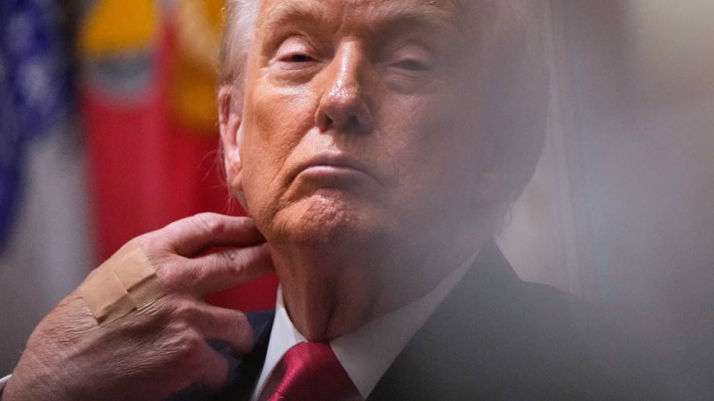 US-Präsident Donald Trump nimmt an einer Kabinettssitzung im Weißen Haus teil. Foto: Julia Demaree Nikhinson/AP/dpa