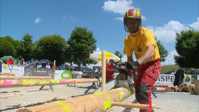 Holzfäller messen sich in einem Wettkampf