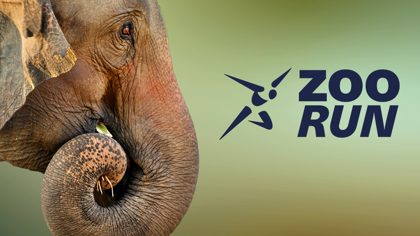 Weltklasse Zürich Zoo Run