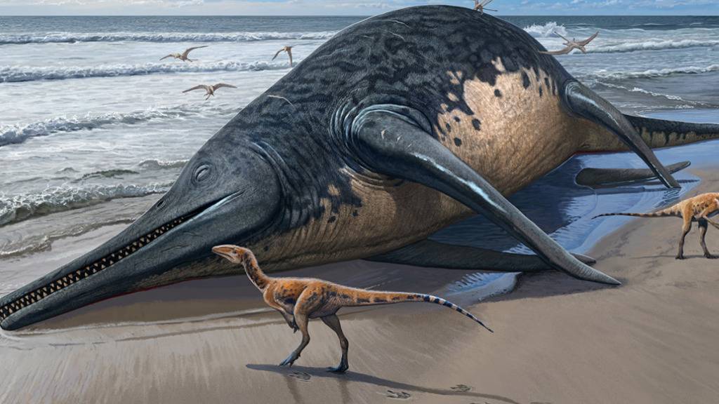 Die künstlerische Darstellung zeigt einen angeschwemmten Ichthyotitan severnensis-Kadaver am Strand.