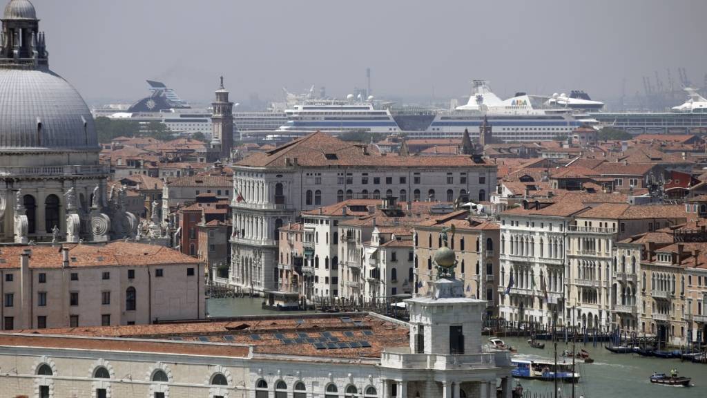 Bürgermeister: Delfin im Canal Grande von Venedig gesichtet