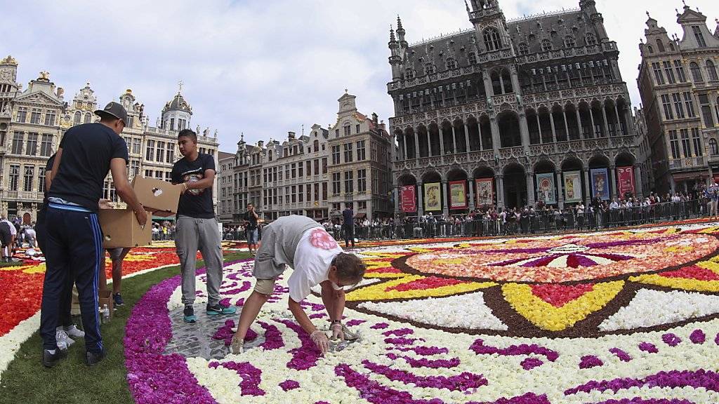 Ein Blumenteppich ziert den historischen Marktplatz in Brüssel.