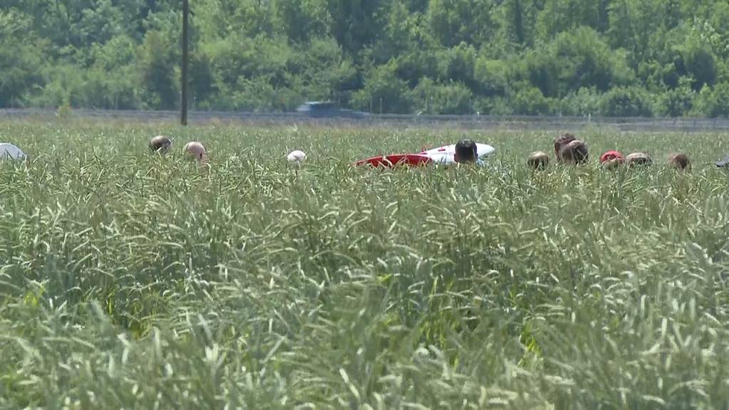 Flugzeug stürzt in Wichtrach ab und landet in Feld