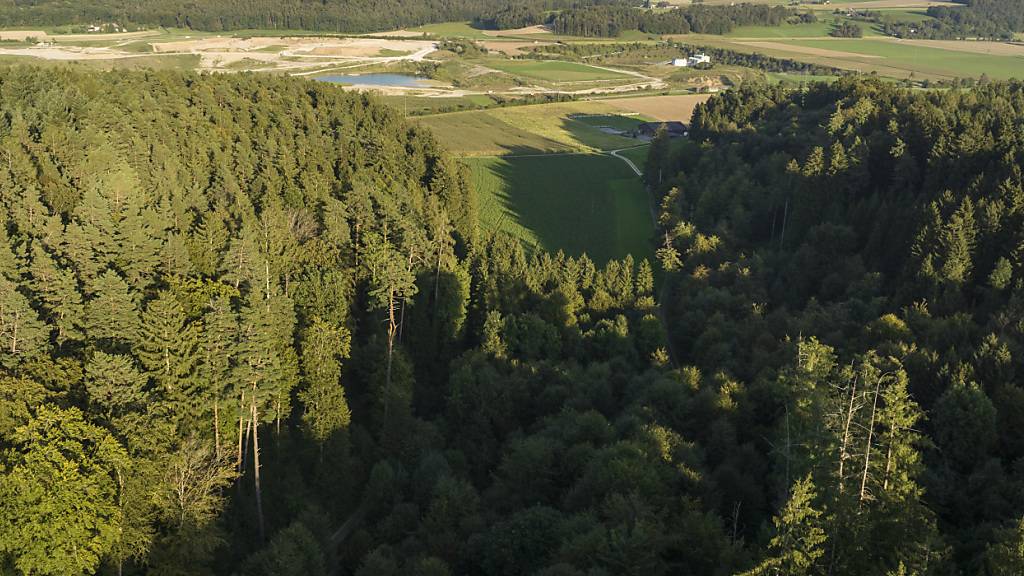 In diesem Gebiet in der Nähe der Zürcher Gemeinde Stadel soll das künftige Atom-Endlager der Schweiz entstehen. (Archivbild)