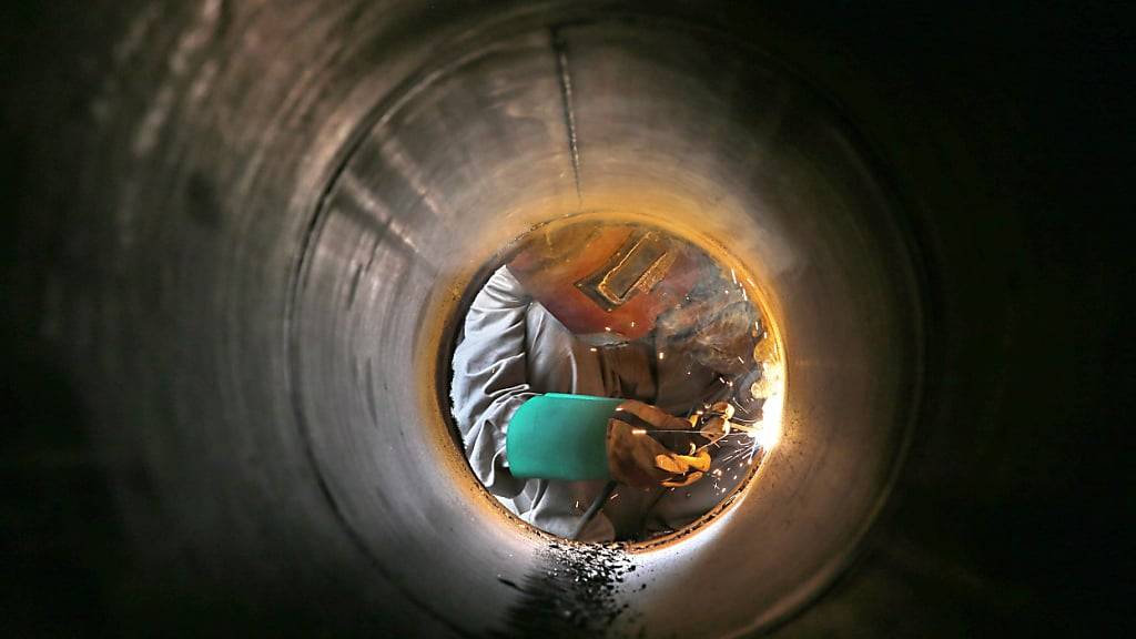 Unternehmen von der Metall- bis zur Lebensmittelindustrie sind vom neuen Importstopp betroffen. (Archivbild)