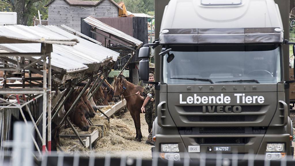 Das Militär transportierte am 8. August 2017 die Pferde vom Landwirtschaftsbetrieb in Hefenhofen TG ab. (Archivbild)